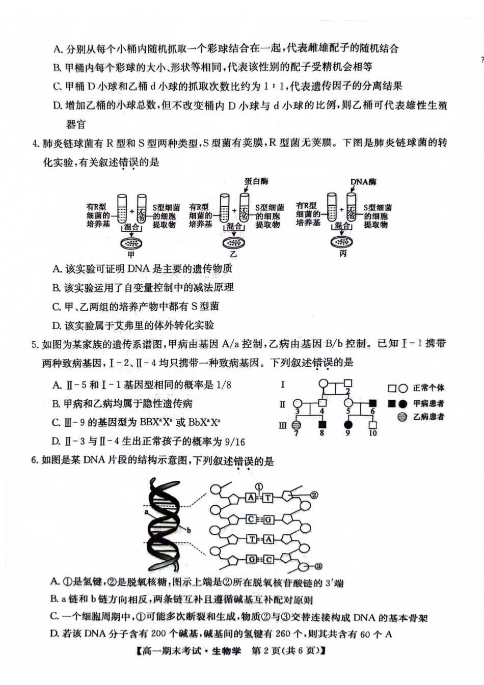 甘肃省酒泉市2023-2024学年高一下学期期末考试(078A)_高一生物(1).pdf_第2页