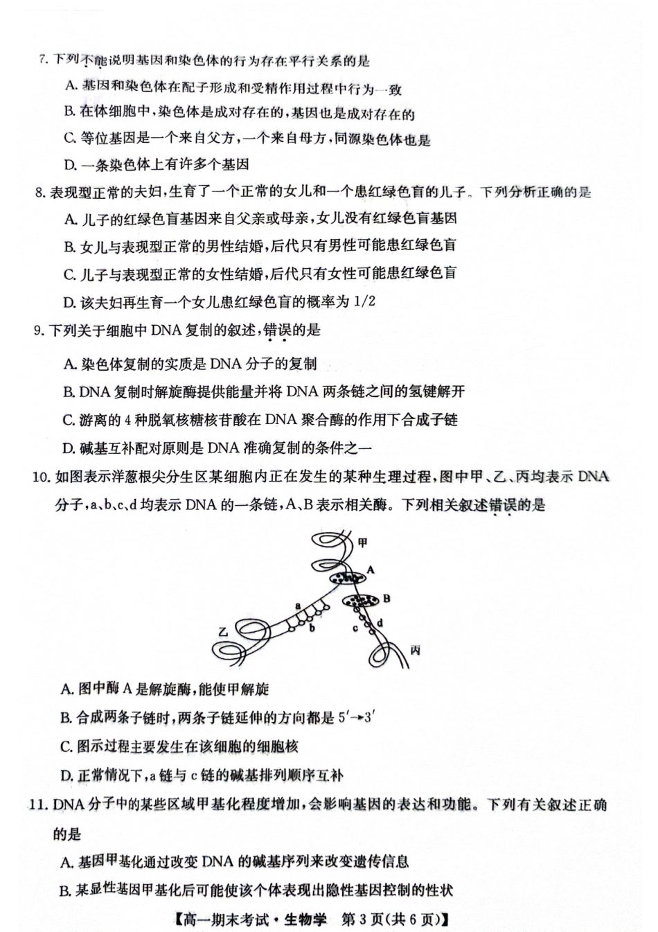 甘肃省酒泉市2023-2024学年高一下学期期末考试(078A)_高一生物(1).pdf_第3页