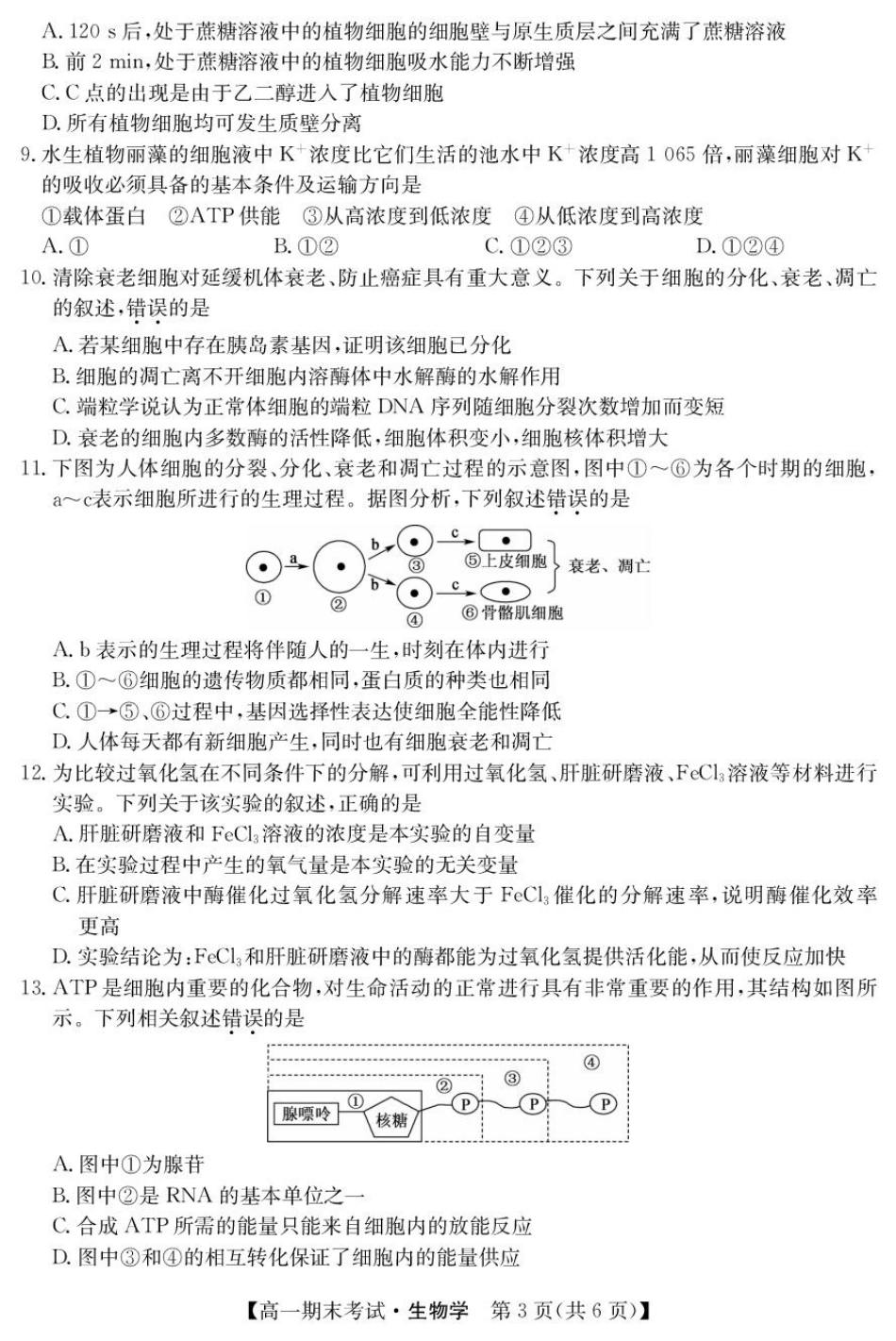 甘肃省酒泉市2024-2025学年高一上学期期末考试生物试题.pdf_第3页
