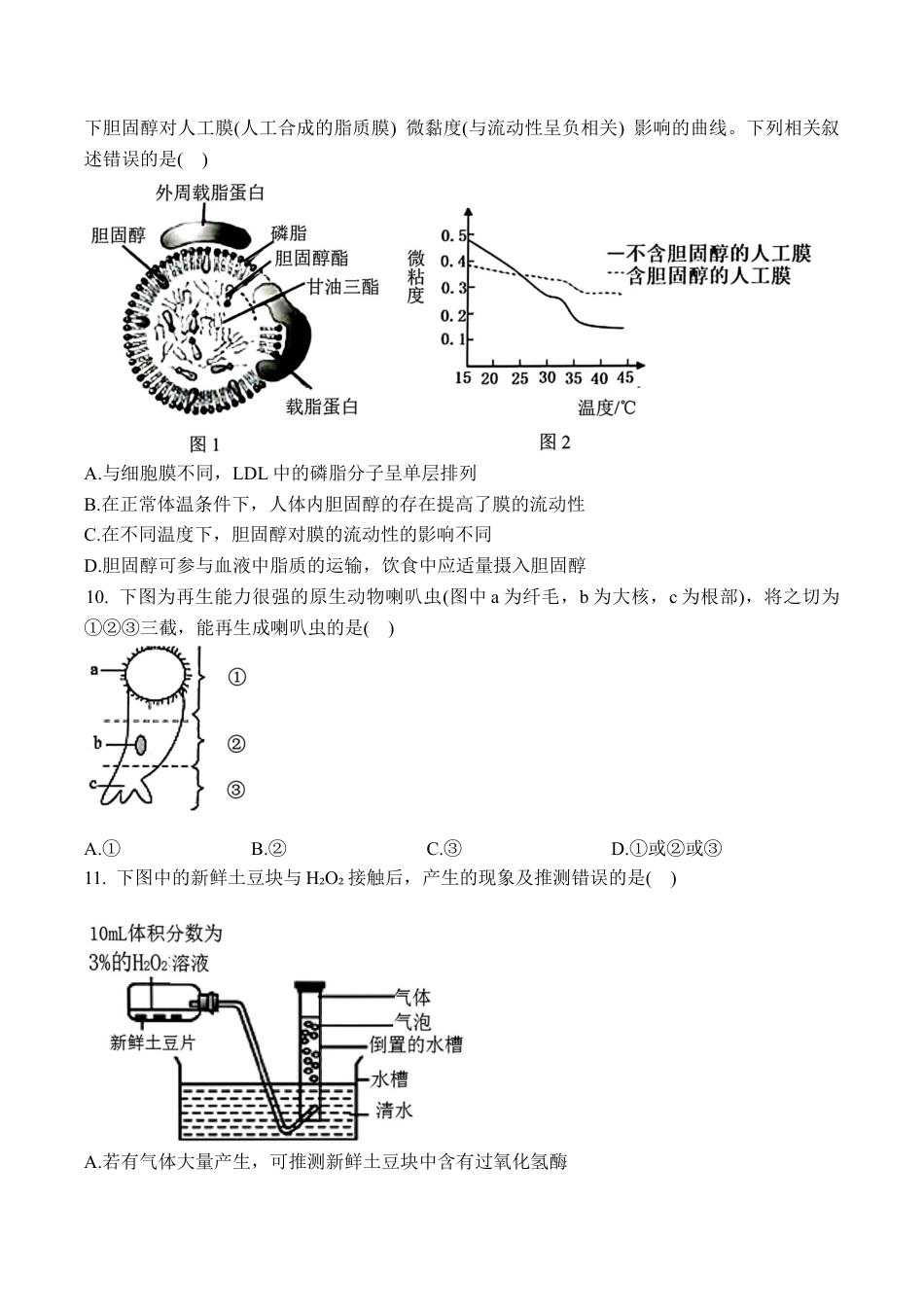 甘肃省兰州第一中学2024-2025学年高一上学期12月月考生物试卷.docx_第3页