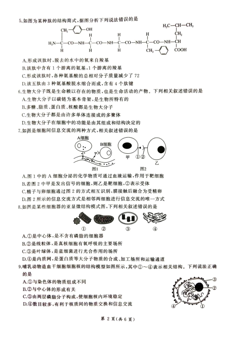 甘肃省平凉市静宁县六校联考2024-2025学年高一上学期1月期末考试生物试卷（图片版，含答案）.pdf_第2页