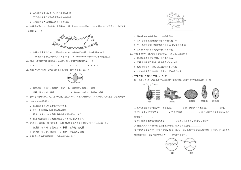 高一生物第一次月考卷（考试版A3）【测试范围：第1-2章】（人教版2019）.docx_第3页