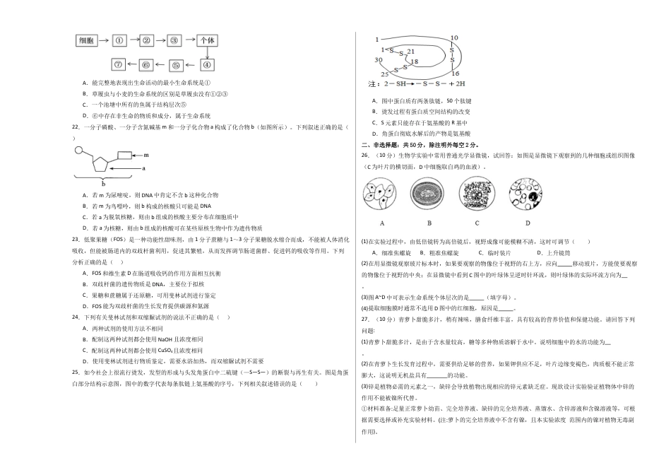高一生物第一次月考卷（新八省通用）（考试版A3）【测试范围：必修1第1-2章】（人教版2019）.docx_第3页