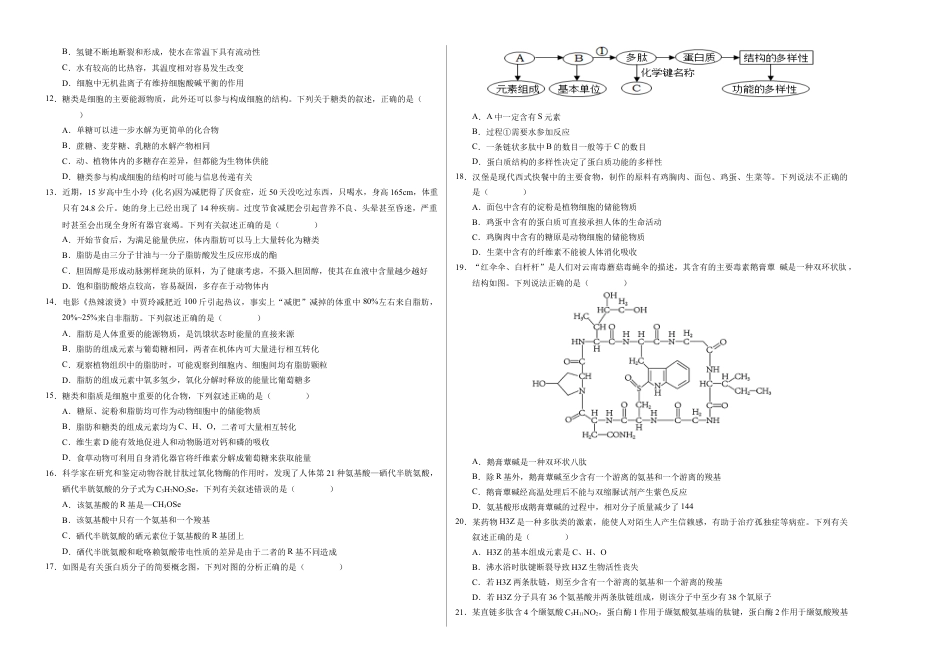 高一生物第一次月考卷01（A3考试版）【测试范围：必修1第1~2章】（新高考通用）.docx_第2页