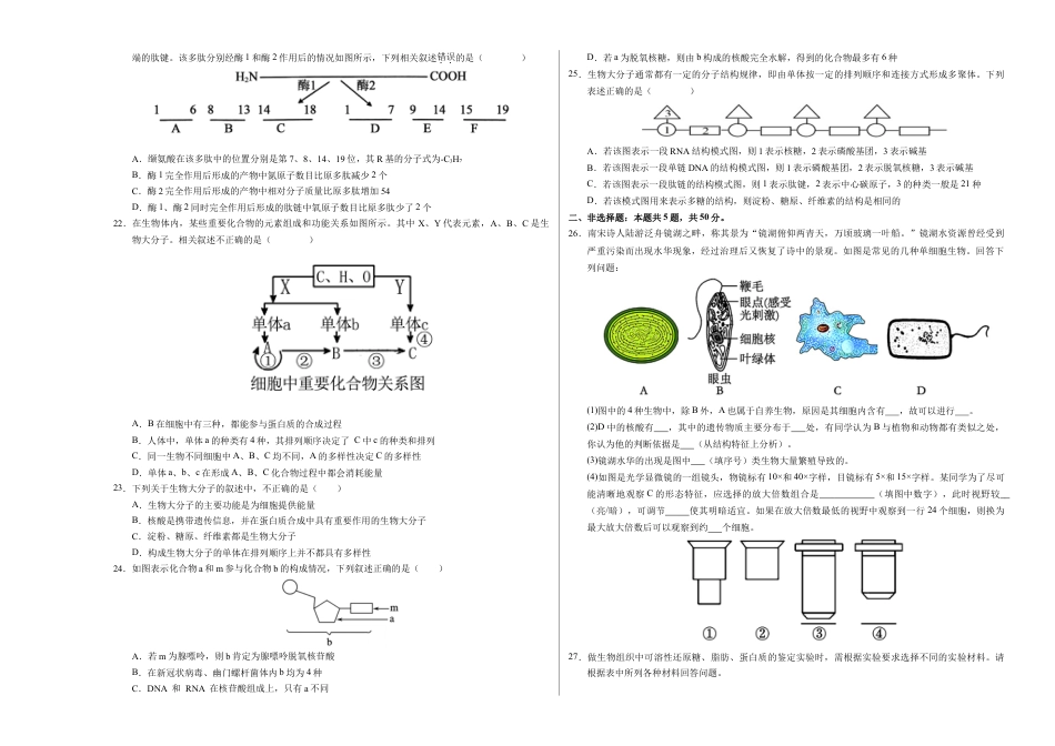 高一生物第一次月考卷01（A3考试版）【测试范围：必修1第1~2章】（新高考通用）.docx_第3页