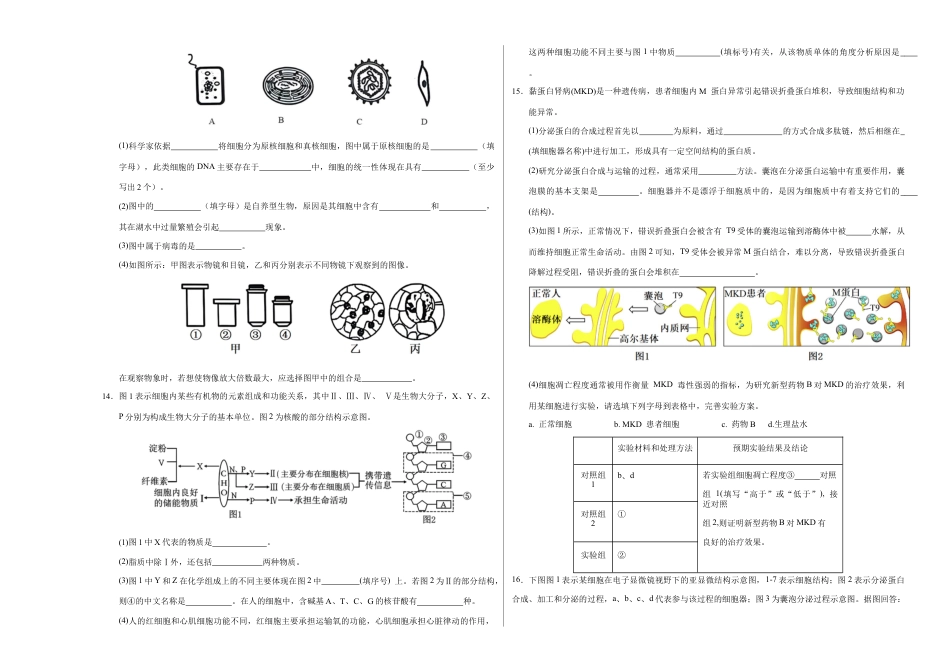 高一生物期中模拟卷【测试范围：第1~4章】（考试版A3）（天津专用）.docx_第3页