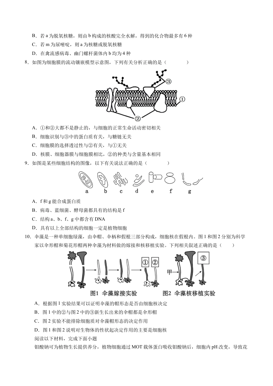 高一生物期中模拟卷【测试范围：第1~4章】（考试版A4）（天津专用）.docx_第3页