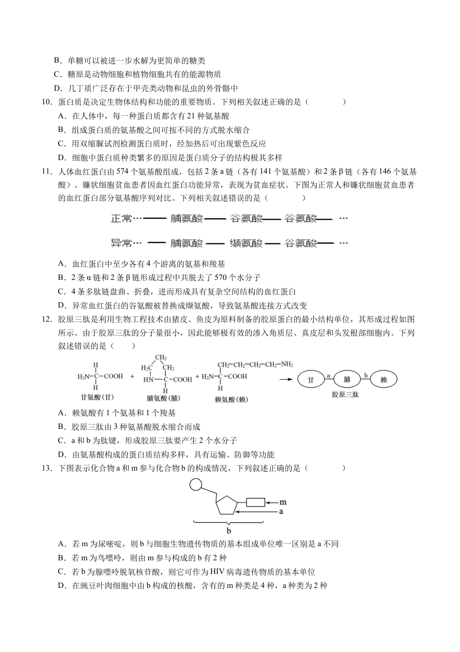 高一生物期中模拟卷【测试范围：第1~4章】（考试版A4）（新八省通用）.docx_第3页