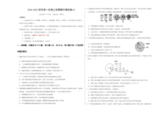 高一生物期中模拟卷01【测试范围：人教版2019第1~4章】（考试版A3）（新高考通用）.docx