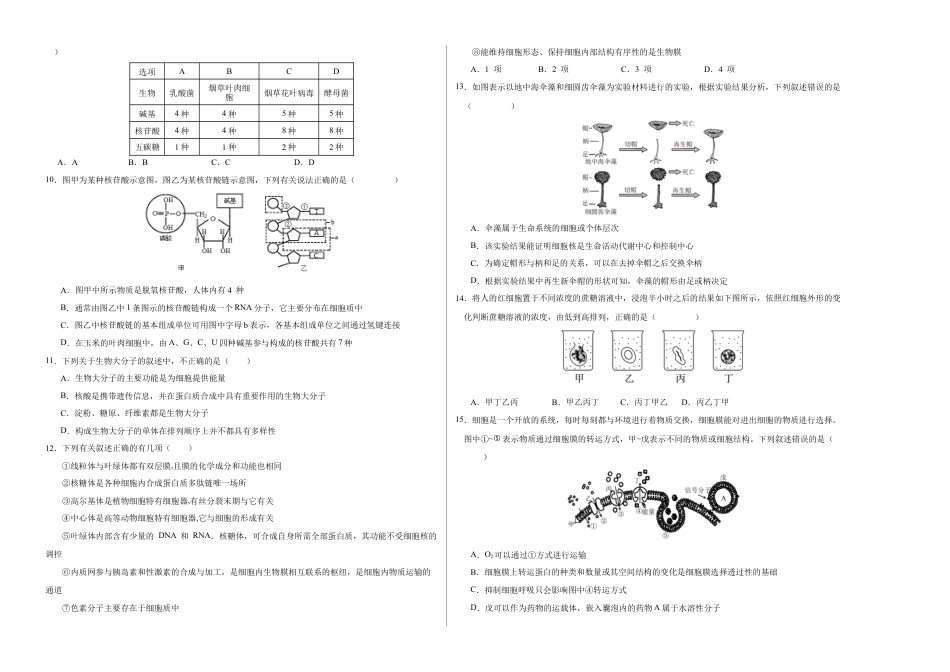 高一生物期中模拟卷02【测试范围：人教版2019第1~4章】（考试版A3）（新高考通用）.docx_第2页