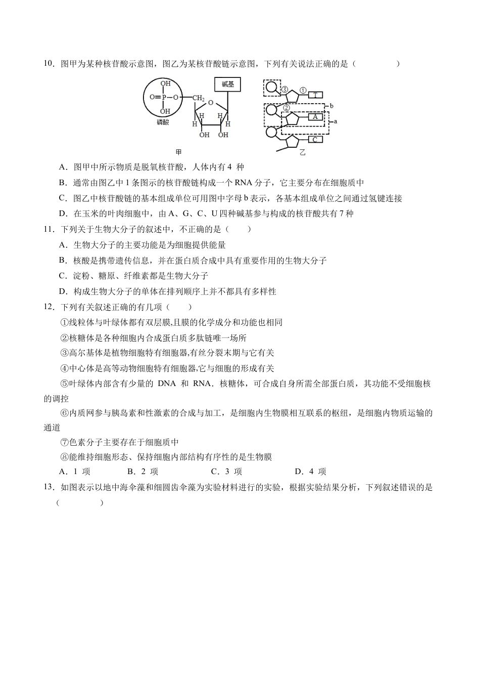 高一生物期中模拟卷02【测试范围：人教版2019第1~4章】（考试版A4）（新高考通用）.docx_第3页