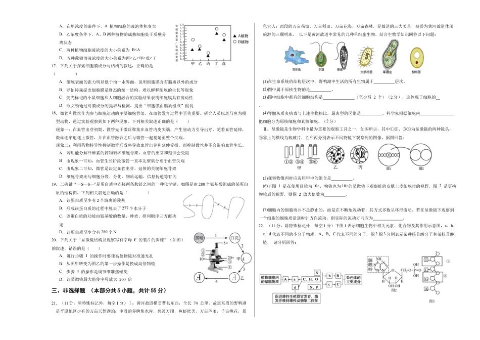 高一生物期中模拟卷03【测试范围：人教版2019第1~4章】（考试版A3）（新高考通用）.docx_第3页