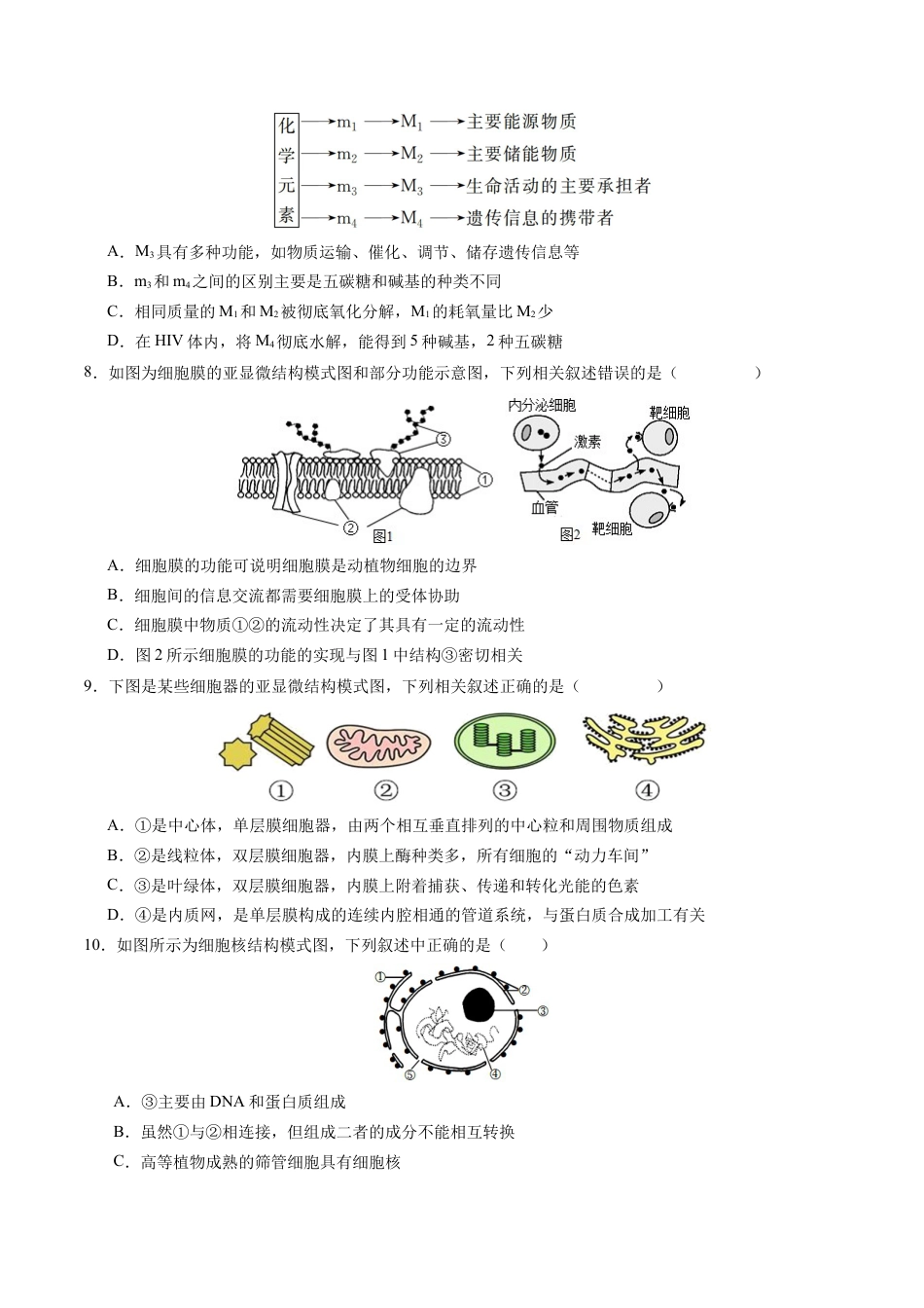 高一生物期中模拟卷03【测试范围：人教版2019第1~4章】（考试版A4）（新高考通用）.docx_第3页