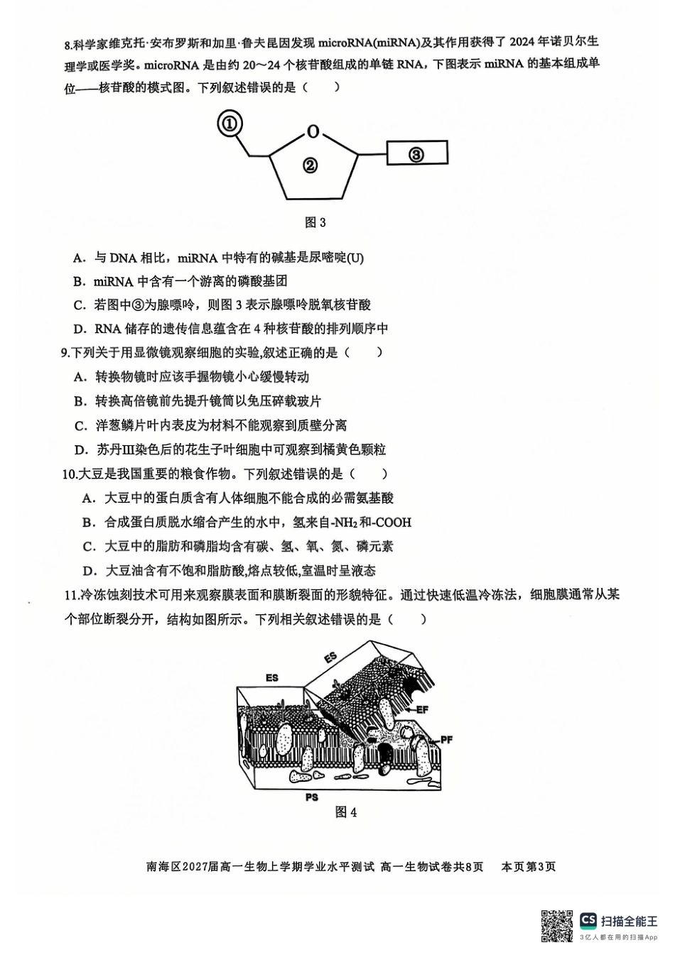 广东省佛山市南海区2024-2025学年高一上学期12月月考试题 生物 PDF版无答案.pdf_第3页