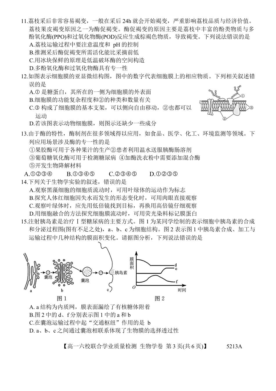 广东省六校（茂名一中，惠州一中，河源一中等）2024-2025学年高一上学期12月联合考试生物试题.docx_第3页