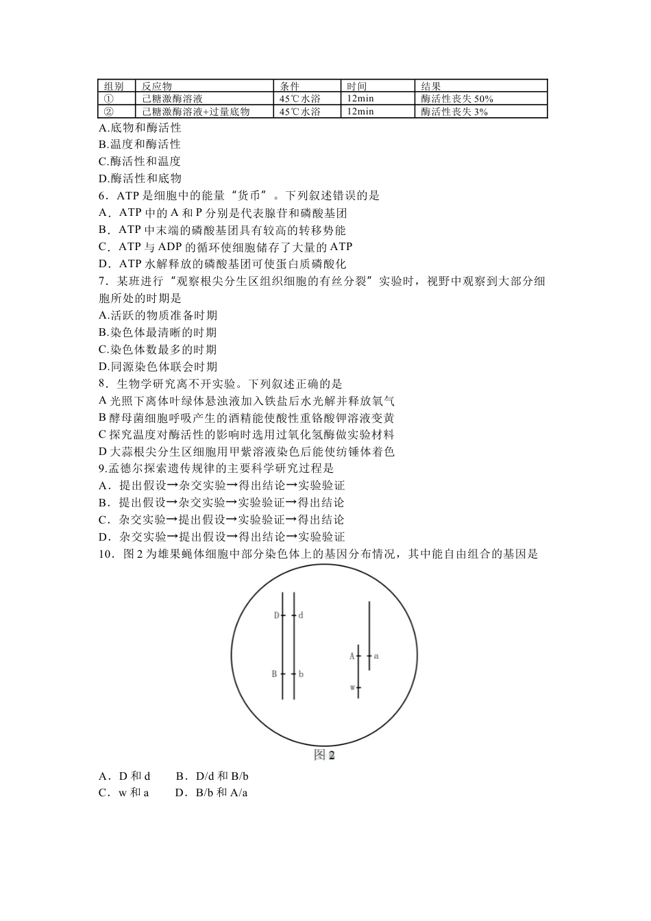 广东省深圳市2023-2024学年高一下学期调研测试生物试题.docx_第2页