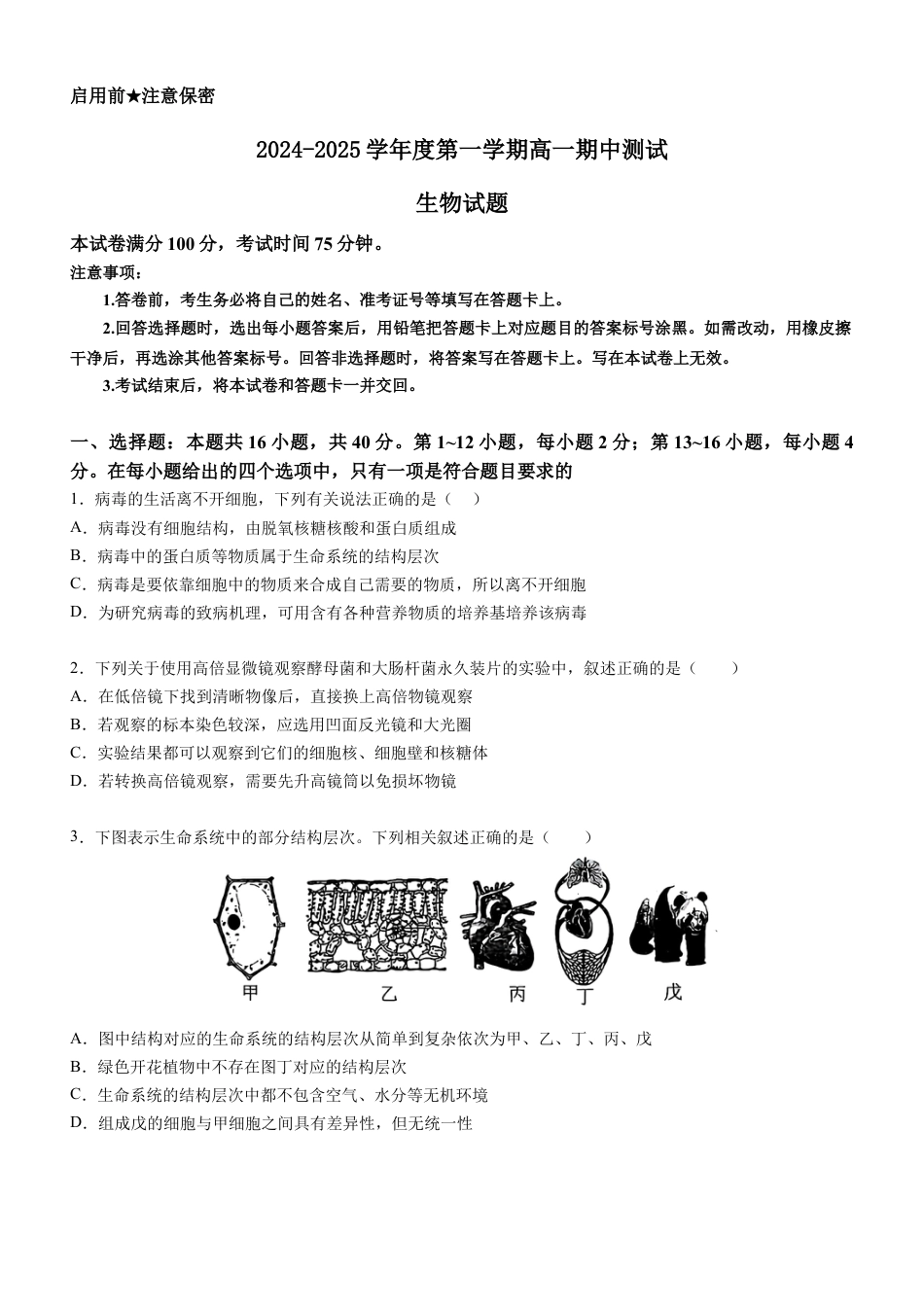 广东省阳江市高新区2024-2025学年高一上学期11月期中考试 生物 Word版含答案.docx_第1页