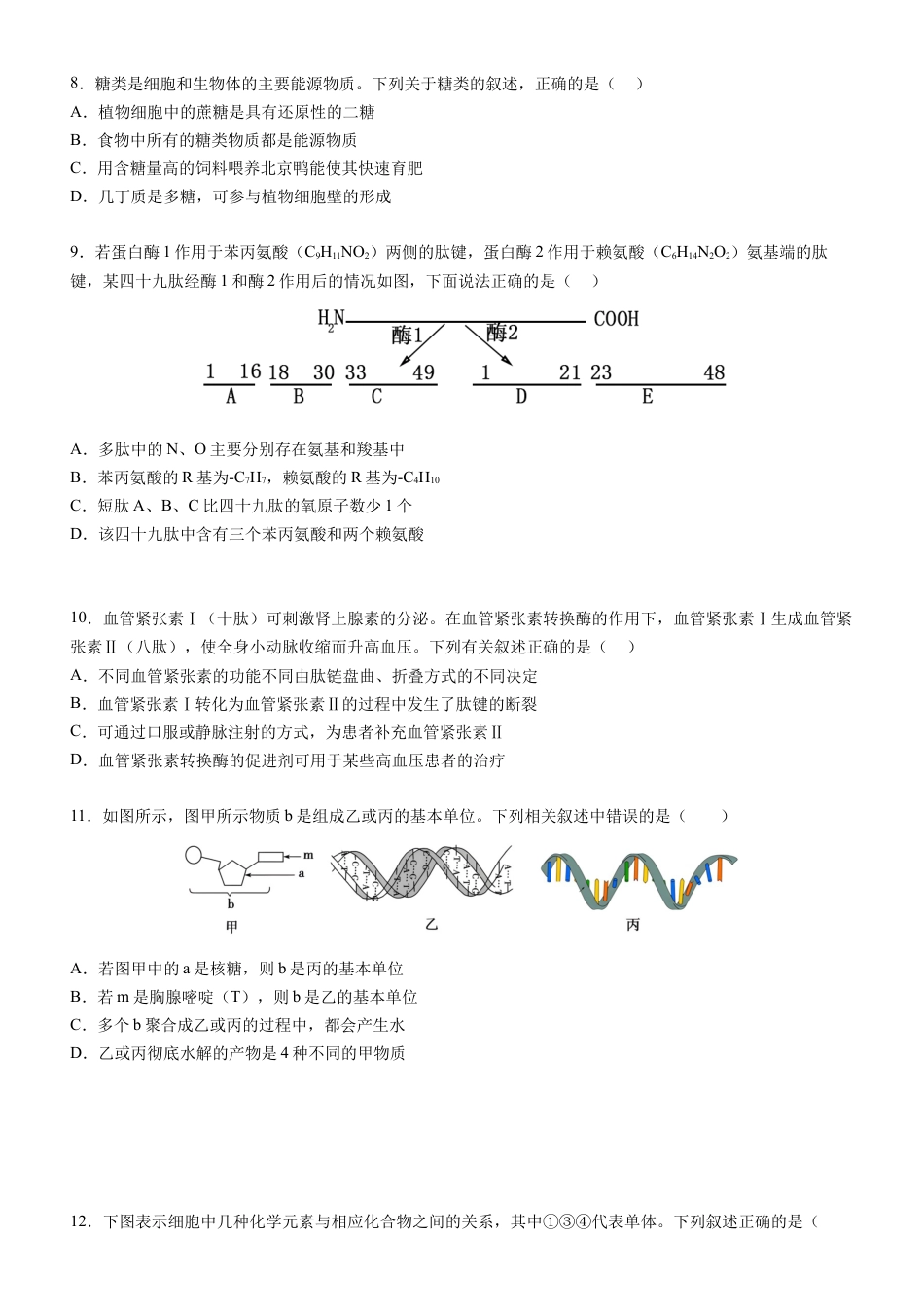 广东省阳江市高新区2024-2025学年高一上学期11月期中考试 生物 Word版含答案.docx_第3页