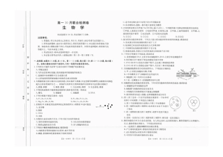 广西2025年高一10月联考_高一生物.pdf