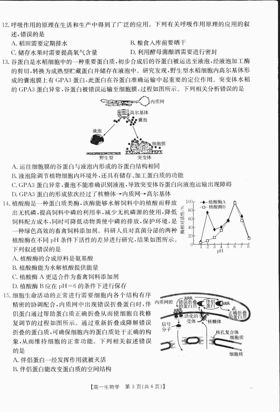 广西部分学校2024-2025学年高一上学期12月阶段性考试生物试题_高一生物1.pdf_第3页
