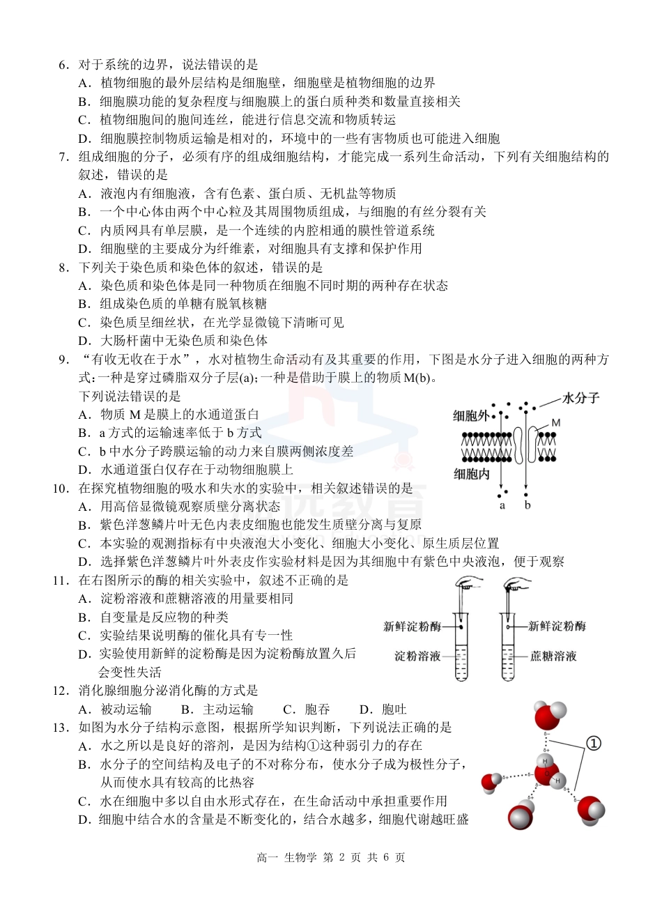 广西河池市2024-2025学年高一上学期12月联盟考试生物_高一生物试卷.pdf_第2页