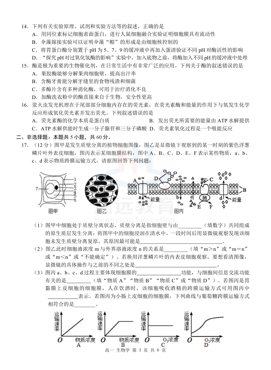 广西河池市2024-2025学年高一上学期12月联盟考试生物_高一生物试卷.pdf_第3页