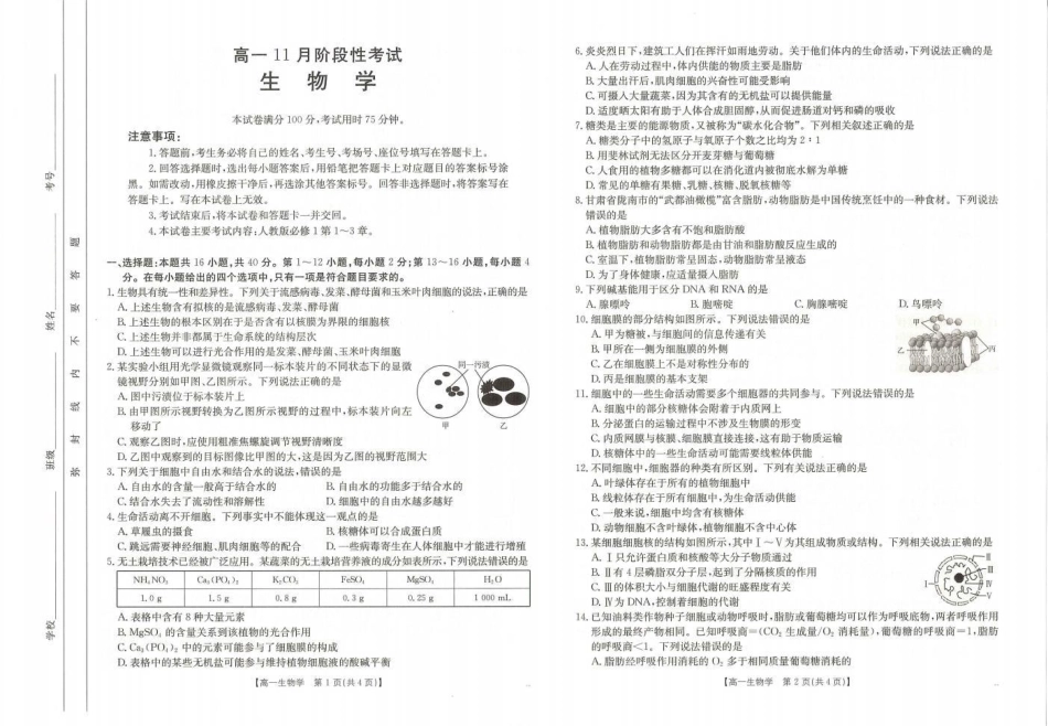 广西名校联盟2024-2025学年高一上学期11月期中阶段性考试生物试题含答案_生物试题.pdf_第1页