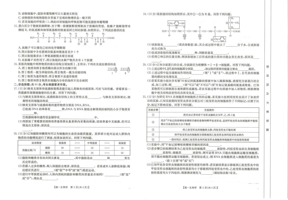广西名校联盟2024-2025学年高一上学期11月期中阶段性考试生物试题含答案_生物试题.pdf_第2页