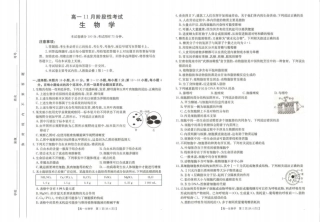 广西名校联盟2024-2025学年高一上学期11月期中阶段性考试生物试题含答案_生物试题.pdf