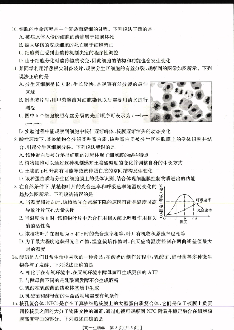 广西壮族自治区崇左市2024-2025学年高一上学期1月期末考试生物学试卷.pdf_第2页