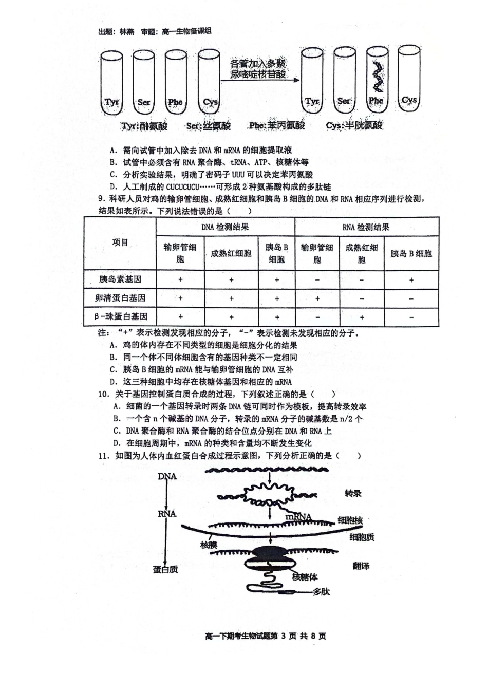 广西壮族自治区南宁市青秀区南宁市第二中学2023-2024学年高一下学期7月期末考试生物试题.pdf_第3页