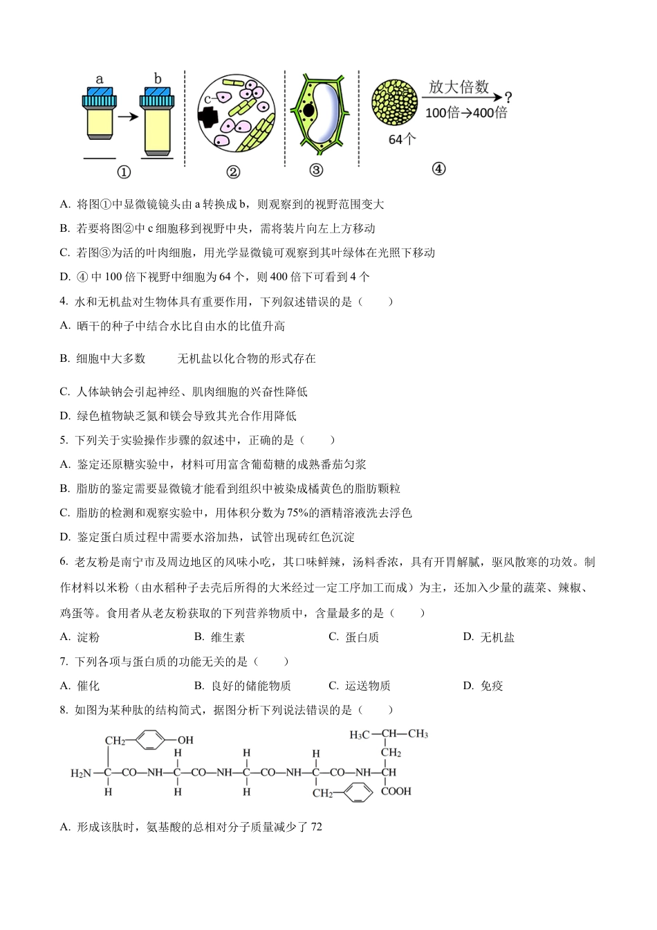 广西壮族自治区玉林市2024-2025学年高一上学期11月期中生物试题  Word版无答案.docx_第2页