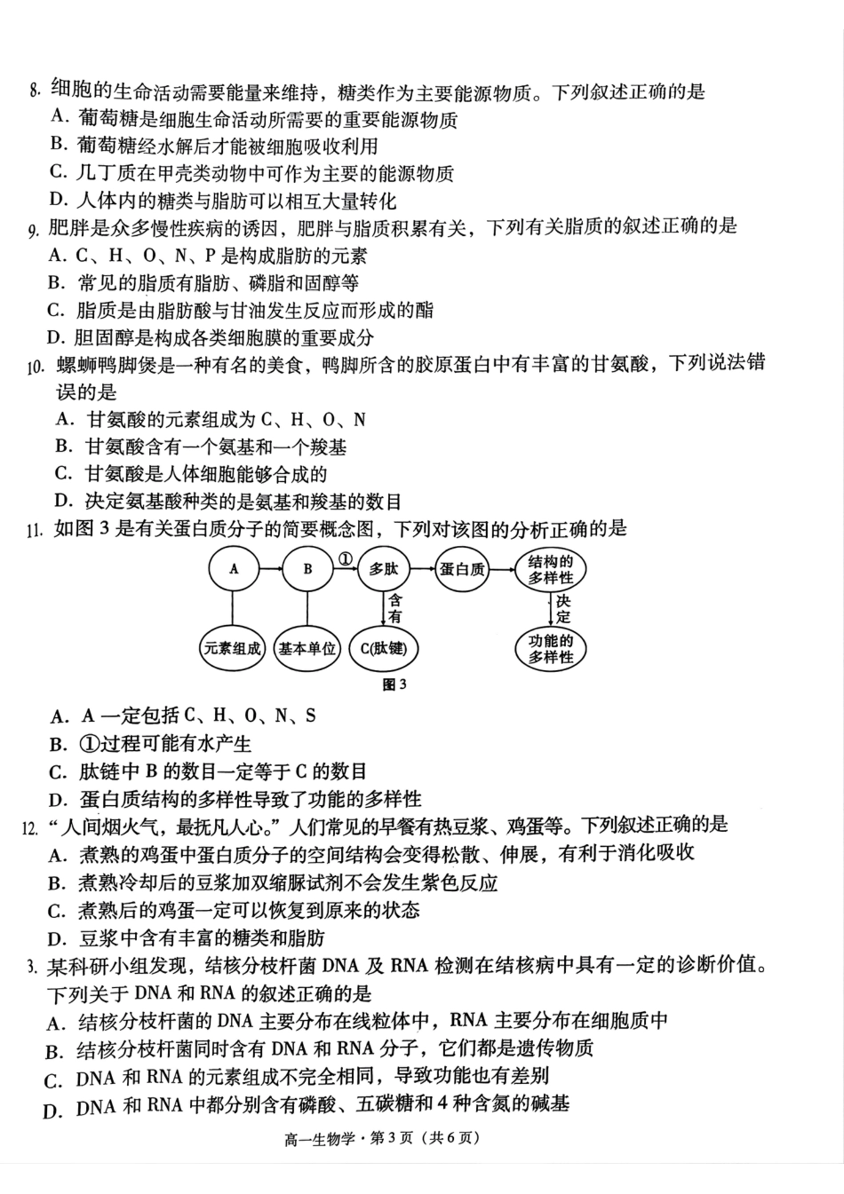 贵州省贵阳市2024-2025学年高一上学期10月联合考试（一） 生物 PDF版含解析.pdf_第2页