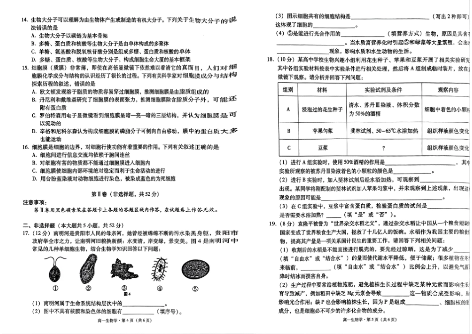 贵州省贵阳市2024-2025学年高一上学期10月联合考试（一） 生物 PDF版含解析.pdf_第3页