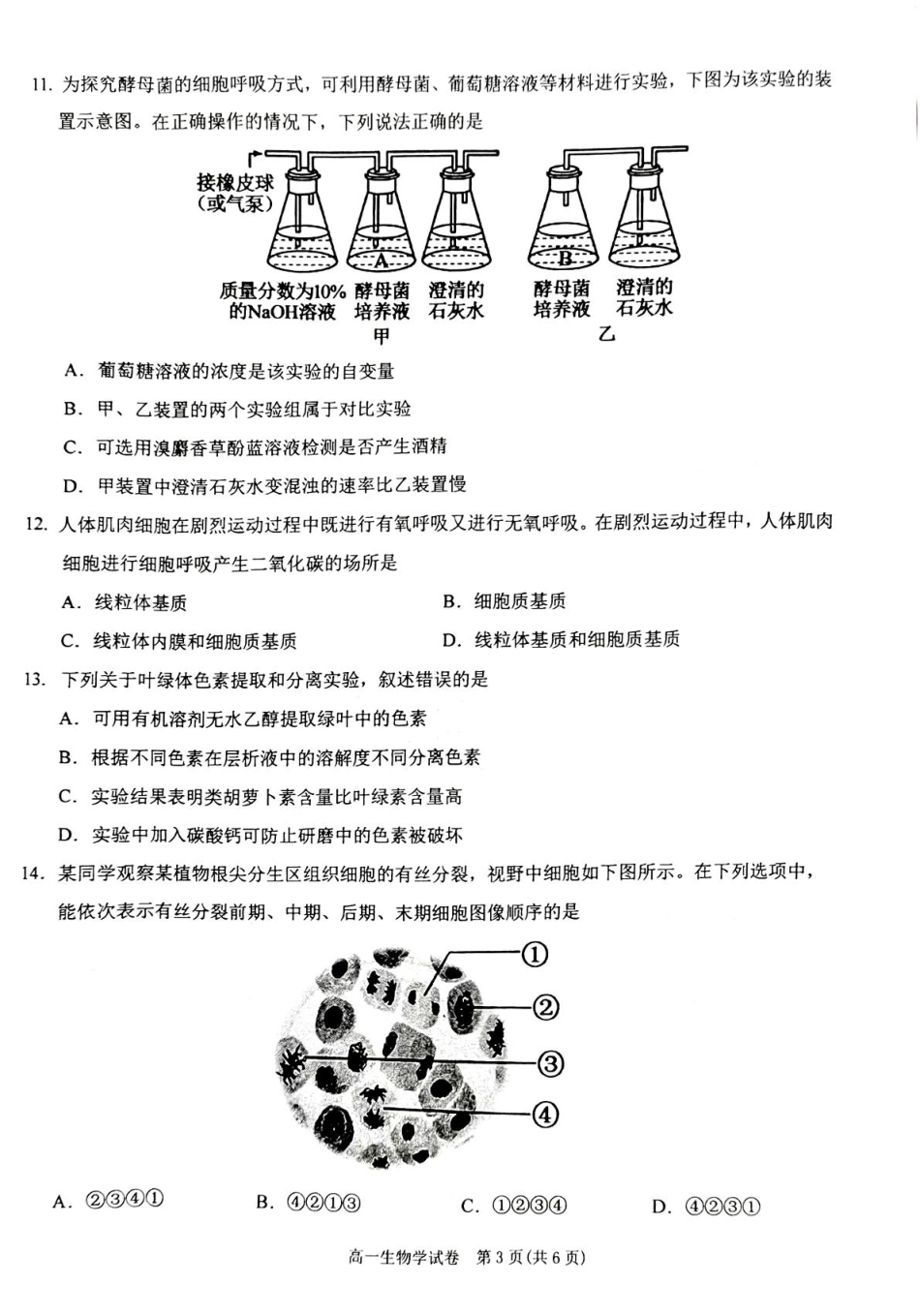 贵州省黔东南苗族侗族自治州2024-2025学年高一上学期1月期末考试 生物 PDF版无答案.pdf_第3页