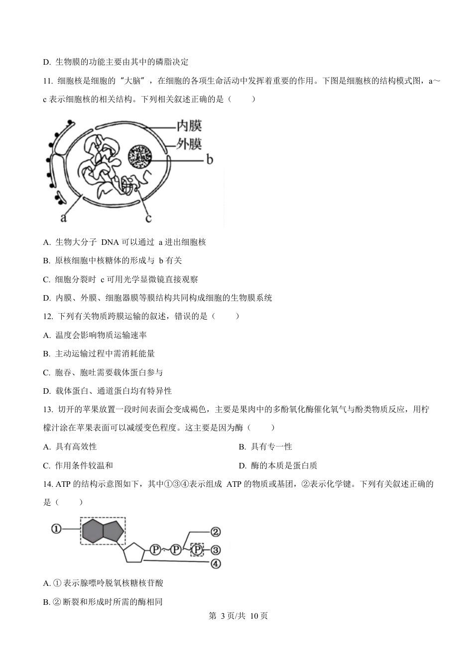 贵州省遵义市播州区2024-2025学年高一上学期1月期末适应性考试生物试卷（含答案）.docx_第3页