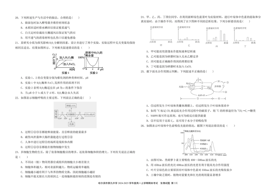 哈尔滨市第九中学校2024-2025学年高一上学期期末考试生物试卷（图片版）.pdf_第3页