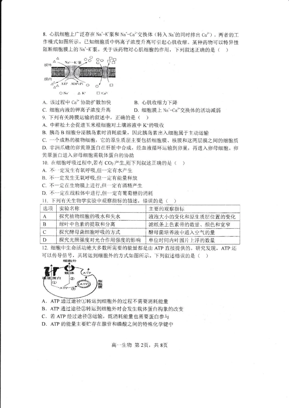 哈三中2024-2025学年度上学期 高一学年12月月考生物试卷.pdf_第2页