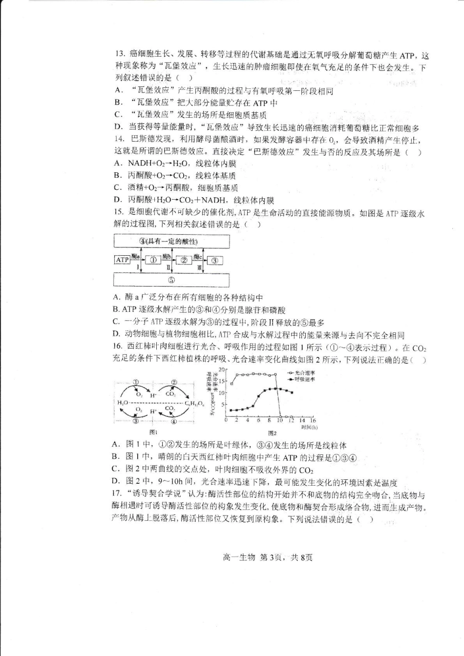 哈三中2024-2025学年度上学期 高一学年12月月考生物试卷.pdf_第3页