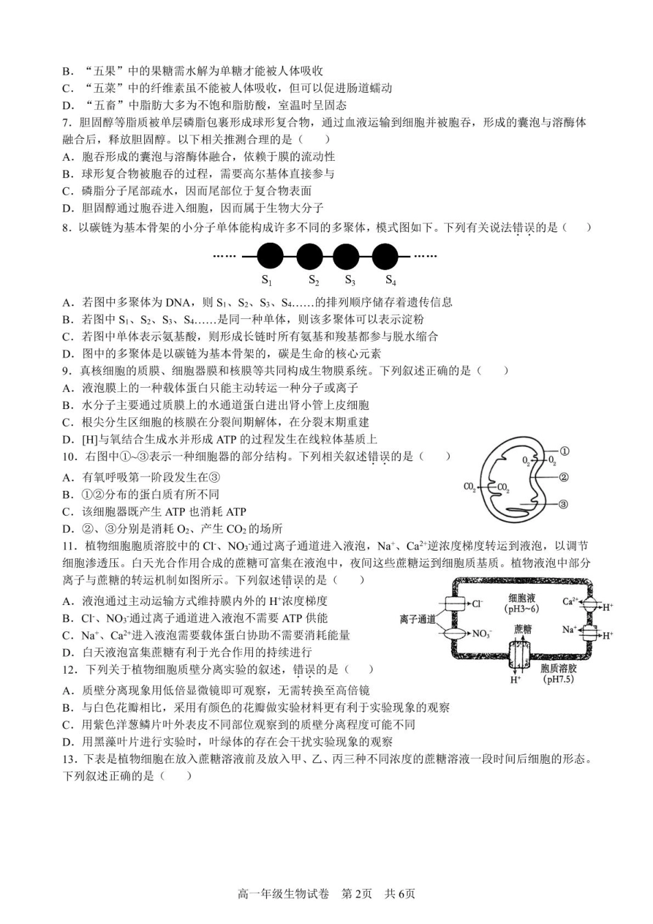 合肥六校联盟2024-2025学年第一学期期末联考高一年级生物 生物试卷.pdf_第2页
