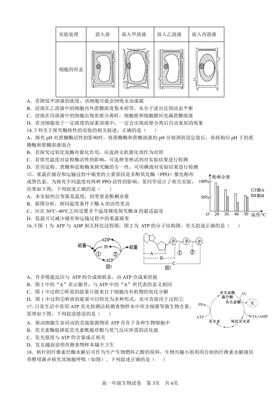 合肥六校联盟2024-2025学年第一学期期末联考高一年级生物 生物试卷.pdf_第3页