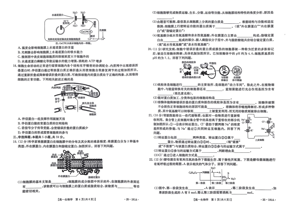 河北省百万联考2024-2025学年高一上学期12月联考生物试题_生物试题.pdf_第3页