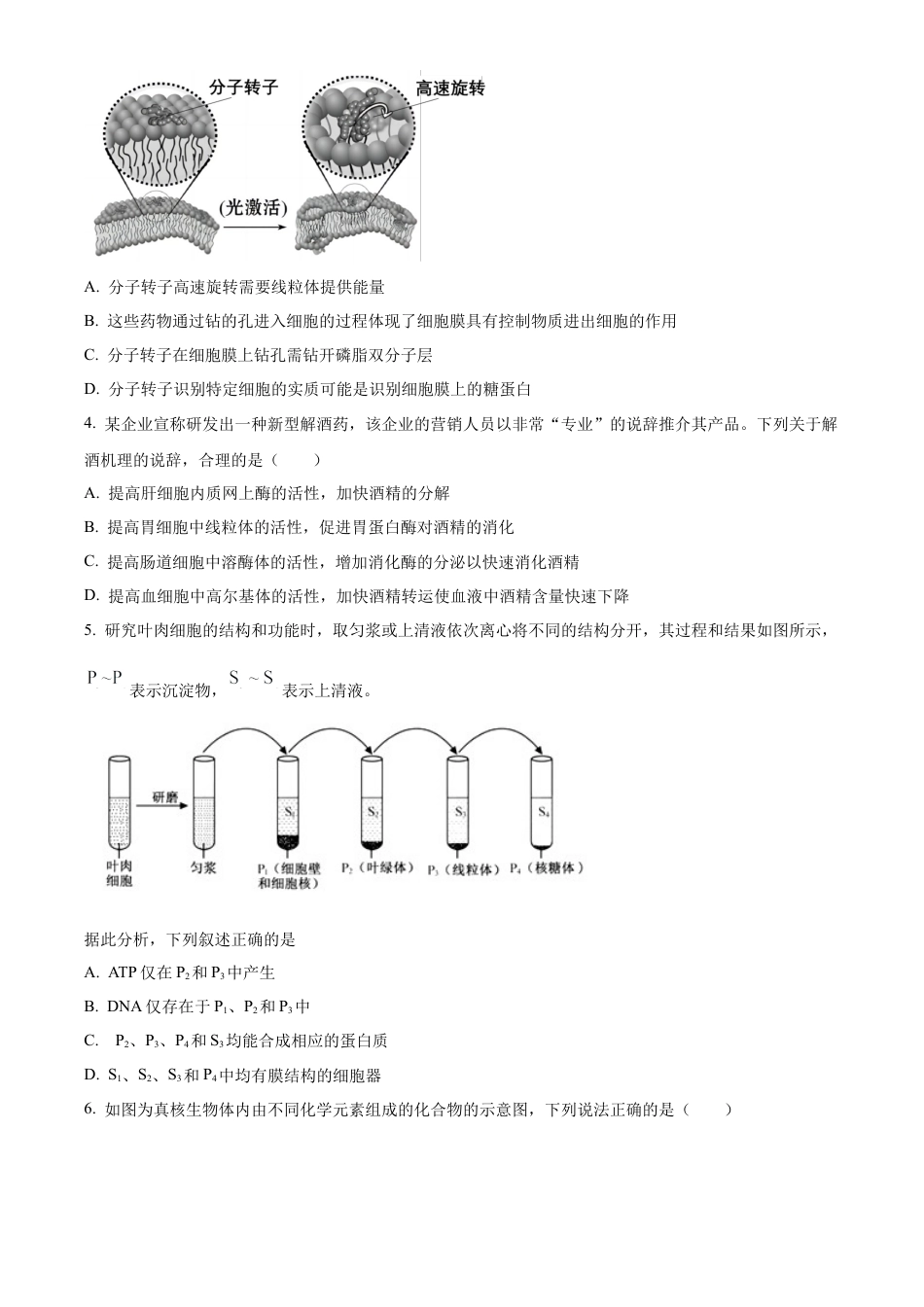 河北省保定市部分高中2023-2024学年高一下学期7月期末考试生物试题.docx_第2页