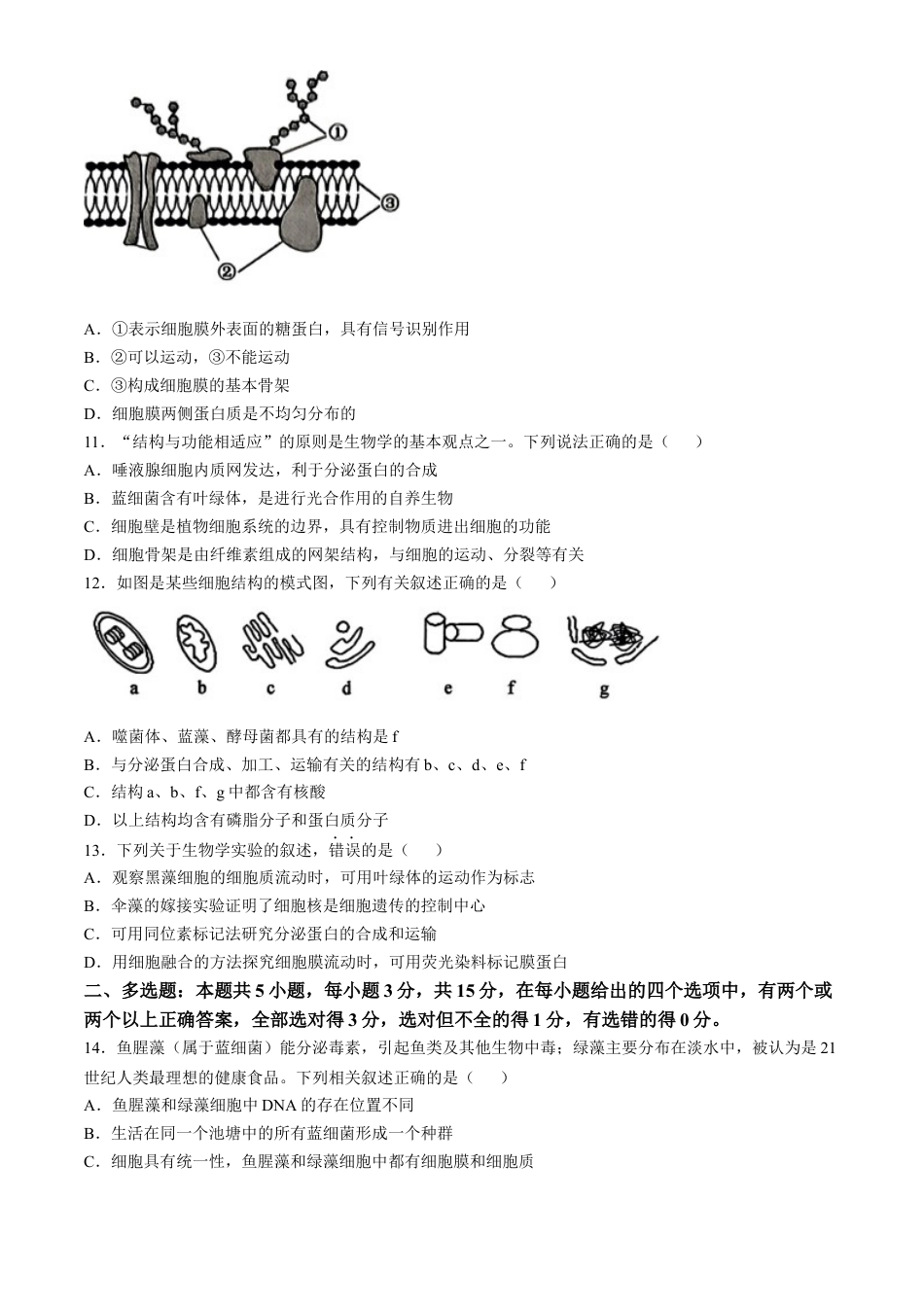 河北省保定市六校联盟2024-2025学年高一上学期11月期中联考生物试题（含答案）.docx_第3页