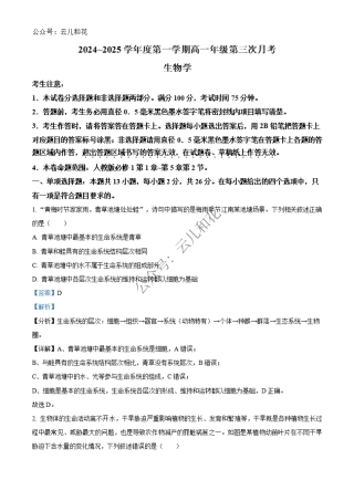 河北省沧州市四县联考2024-2025学年高一上学期11月月考生物试题  Word版含解析.pdf