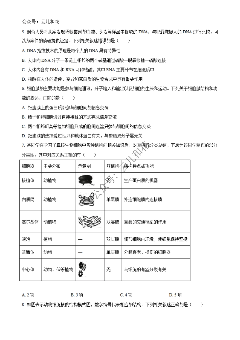 河北省沧州市四县联考2024-2025学年高一上学期11月月考生物试题  Word版无答案.pdf_第3页