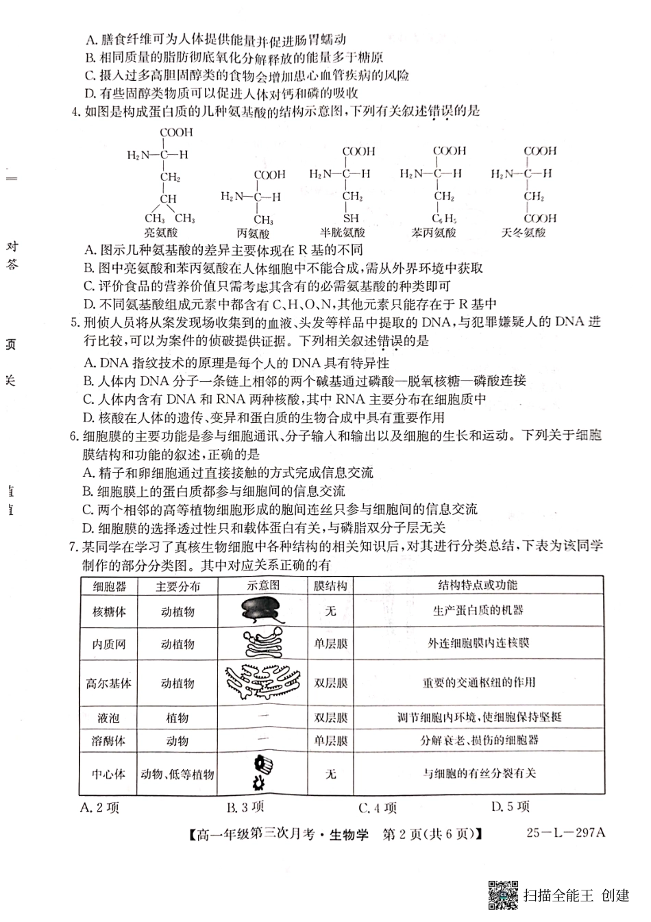 河北省联考2024-2025学年高一上学期第三次月考11月月考生物试题含答案_生物试题.pdf_第2页