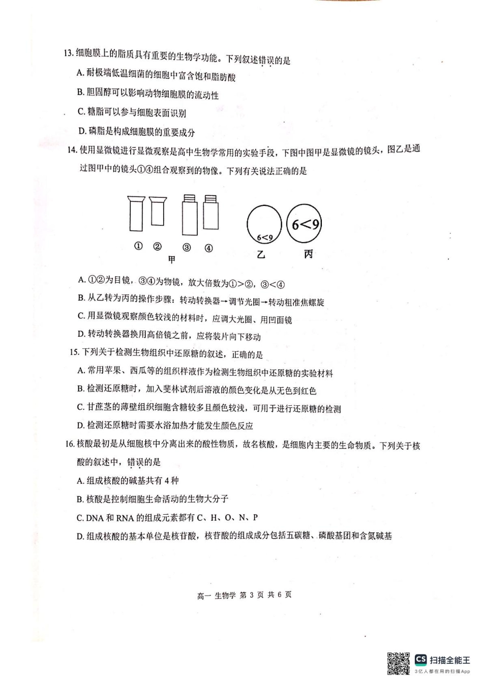 河池十校联体2024-10月考高一生物试卷.pdf_第3页