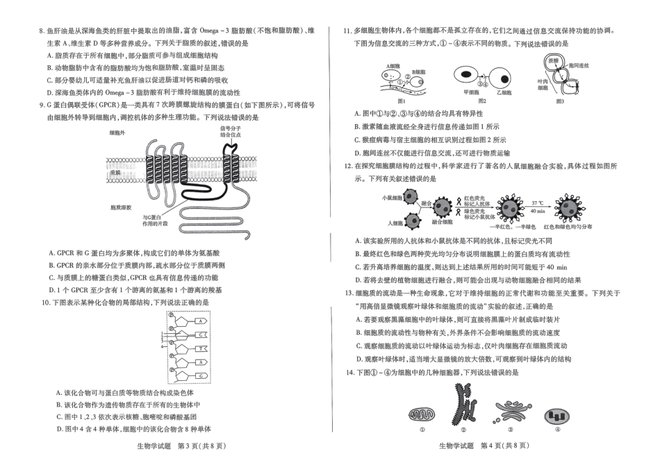河南省部分学校2024-2025学年高一上学期期中考试生物试题含答案_生物试题.pdf_第2页