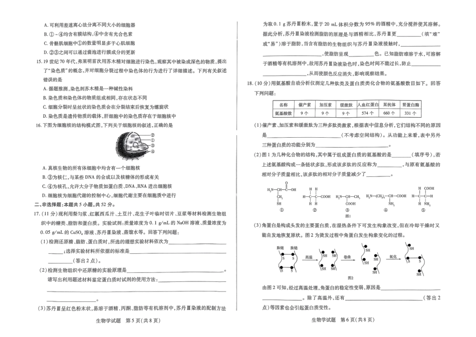 河南省部分学校2024-2025学年高一上学期期中考试生物试题含答案_生物试题.pdf_第3页